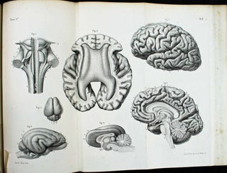 Item #10421 Anatomie et physiologie du système nerveux de l'homme et des animaux...