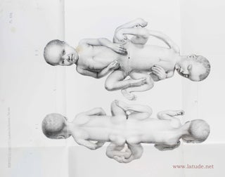 Item #13602 Anatomie comparée transcendante. Principes d'embryogènie, de...