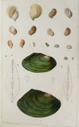 Item #13809 Tableau méthodique et descriptif des mollusques terrestres et d'eau douce de...