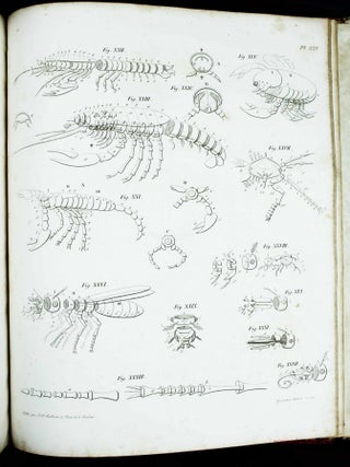 Trait&eacute; &eacute;l&eacute;mentaire d'anatomie compar&eacute;e, suivi de recherches d'anatomie philosophique ou transcendante sur les parties primaires du syst&egrave;me nerveux et du squelette int&eacute;rieur et ext&eacute;rieur, et accompagn&eacute; d'un atlas de 31 planches in-4&deg;, grav&eacute;es. Traduit de l'allemand, sur la seconde &eacute;dition, par A.-J.-L. Jourdan.