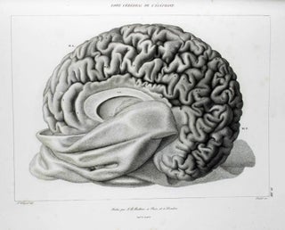 Item #14527 Anatomie comparée du système nerveux considéré dans ses rapports avec...
