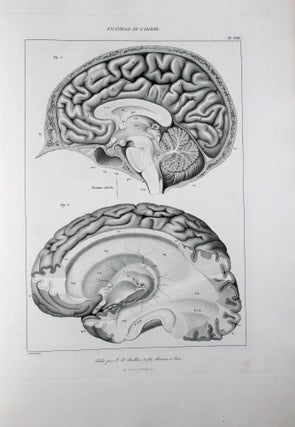 Anatomie comparée du système nerveux considéré dans ses rapports avec l'intelligence.