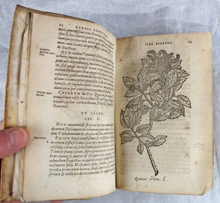 Rariorum aliquot stirpium per Pannoniam, Austriam et vicinas quasdam provincias observatarum historia, quatuor libris.
