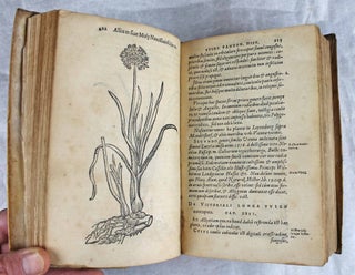 Rariorum aliquot stirpium per Pannoniam, Austriam et vicinas quasdam provincias observatarum historia, quatuor libris.