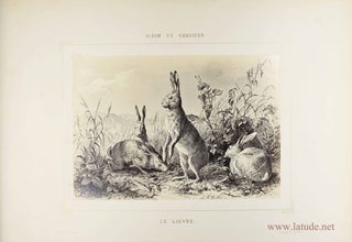 Item #15471 Que Saint Hubert vous garde ! Album du chasseur. Illustré de 12 photographies...