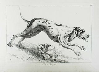 Item #15507 Recueil de divers animaux de chasse tiré du cabinet de monsieur le comte de Tessin...