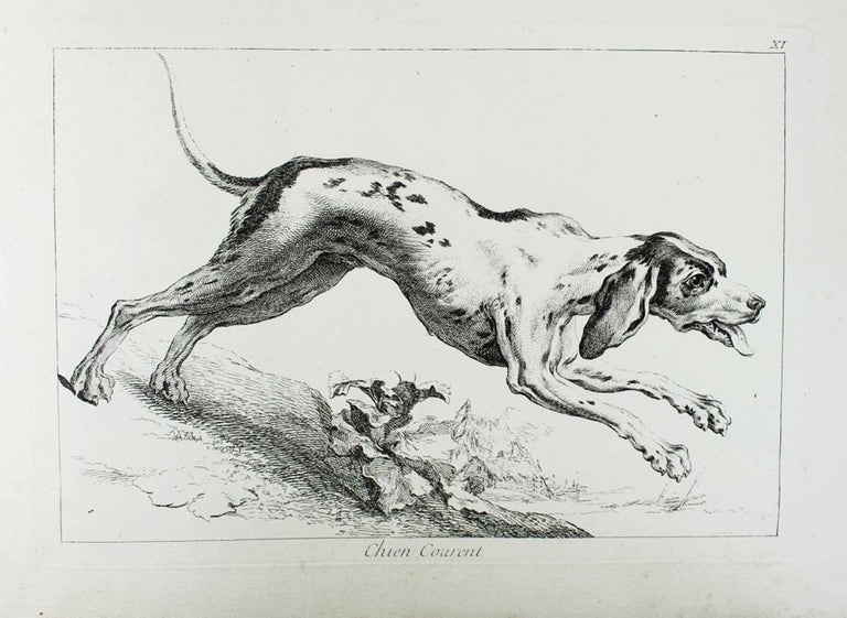 Item #15507 Recueil de divers animaux de chasse tiré du cabinet de monsieur le comte de Tessin dessiné daprès nature. Jean Baptiste OUDRY.