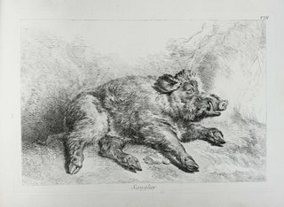 Recueil de divers animaux de chasse tiré du cabinet de monsieur le comte de Tessin dessiné daprès nature.