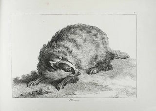 Recueil de divers animaux de chasse tiré du cabinet de monsieur le comte de Tessin dessiné daprès nature.