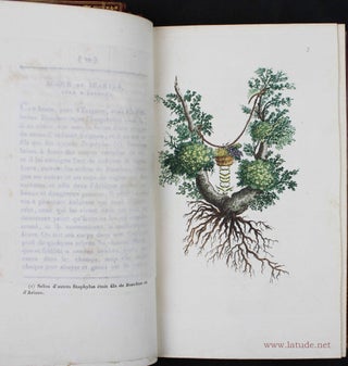 Arabesques mythologiques, ou les attributs de toutes les divinités de la fable. Le texte contenant l'histoire des faux dieux, de leur culte, le détail des cérémonies religieuses, etc. précédé d'un discours sur la mythologie en général et particulièrement sur l'influence que dut avoir le paganisme sur le caractère, les moeurs et la littérature des anciens Grecs et des Romains. Ouvrage fait pour servir à l'éducation de la jeunesse.