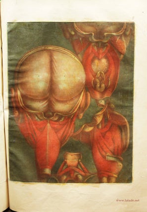 Myologie complète en couleur et grandeur naturelle, composé de l'Essai et de la suite de l'Essai d'anatomie, en tableaux imprimés.