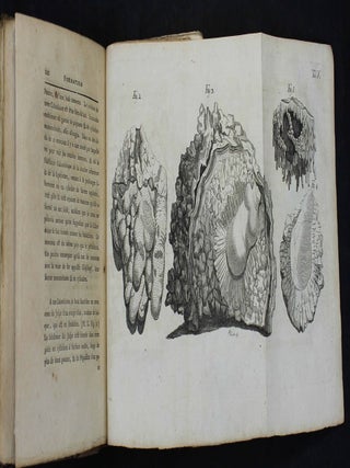Journal d'un voyage qui contient diff&eacute;rentes observations min&eacute;ralogiques; particuli&egrave;rement sur les agates et le basalte. Avec un d&eacute;tail sur la mani&egrave;re de travailler les agates.