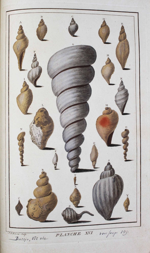 Item #16483 Oryctographie de Bruxelles, ou description des fossiles tant naturels qu'accidentels découverts jusqu'à ce jour dans les environs de cette ville. François-Xavier BURTIN.