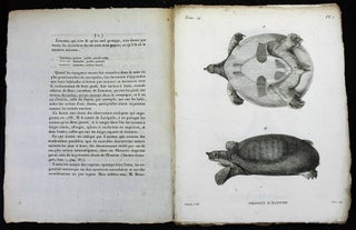 Item #16558 Mémoire sur les tortues molles, nouveau genre sous le nom de Trionyx et sur la...
