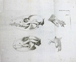 Item #16559 Dissertation sur les animaux à bourse (Didelphis, L.). Etienne GEOFFROY...