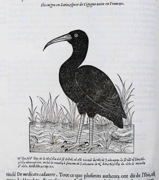 L'histoire de la nature des oyseaux [oiseaux], avec leurs descriptions & naïfs portraicts retirez du naturel.