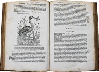 L'histoire de la nature des oyseaux [oiseaux], avec leurs descriptions & naïfs portraicts retirez du naturel.