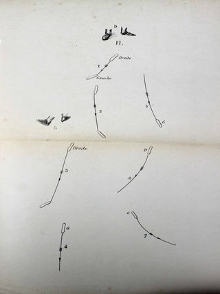 L'art du patin. Instructions progressives sur la mani&egrave;re de la cultiver avec succ&egrave;s, d'en &eacute;carter les dangers et d'en surmonter victorieusement les difficult&eacute;s.