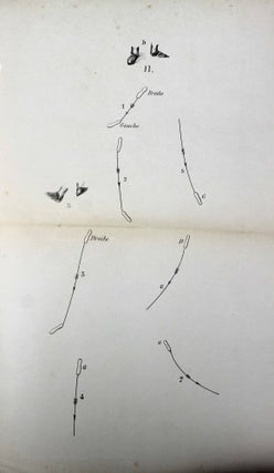 L'art du patin. Instructions progressives sur la manière de la cultiver avec succès, d'en écarter les dangers et d'en surmonter victorieusement les difficultés.