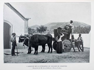 Item #17260 Le Portugal au point de vue agricole. B. C. CINCINNATO DA COSTA, Luiz de Castro