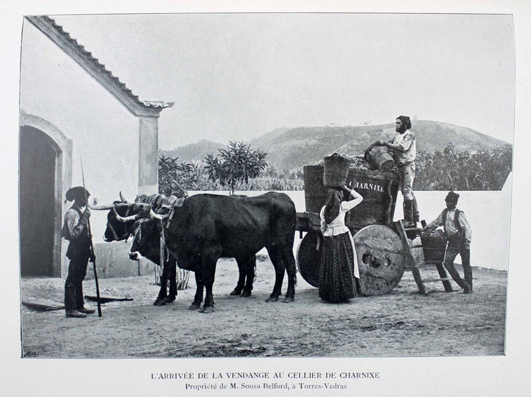 Item #17260 Le Portugal au point de vue agricole. B. C. CINCINNATO DA COSTA, Luiz de Castro.