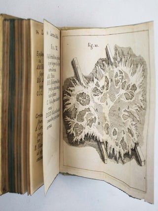 Exercitatio anatomica de structura & usu renum. Cui renum monstrosorum exempla, ex medicorum celebrium scriptis addidit Gerardus Blasius.