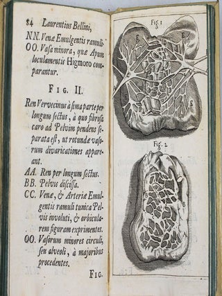 Exercitatio anatomica de structura & usu renum. Cui renum monstrosorum exempla, ex medicorum celebrium scriptis addidit Gerardus Blasius.