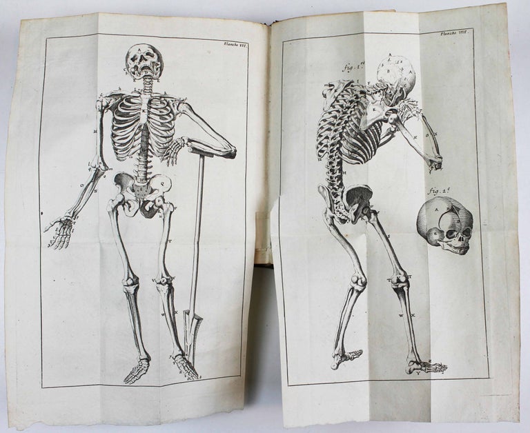 Item #17380 Nouvelle ostéologie ou description exacte des os du corps humain; accompagnée de remarques chirurgicales sur le traitement de leurs maladies, et enrichie de figures en taille-douce. Jean PALFIN, Jan Palfijn.