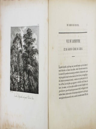 Vues et description du Jardin des plantes publiées par Guérin & Schwartz.