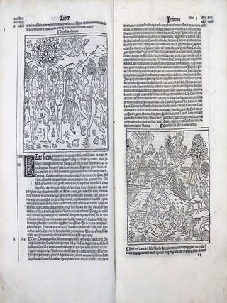 Supplementum chronicarum.