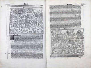Supplementum chronicarum.