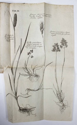 Item #17411 Agrostographia, sive, graminum, juncorum, cyperorum, cyperoidum iisque affinium...
