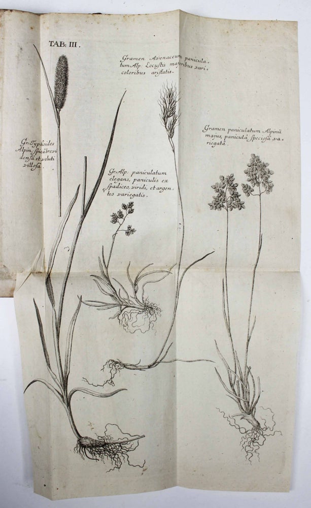 Item #17411 Agrostographia, sive, graminum, juncorum, cyperorum, cyperoidum iisque affinium historia. Johann Jacob SCHEUCHZER.