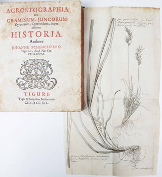 Agrostographia, sive, graminum, juncorum, cyperorum, cyperoidum iisque affinium historia.