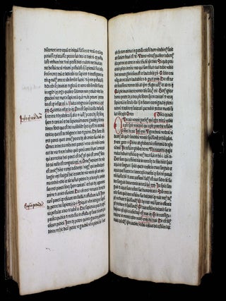 Sermones dominicales.