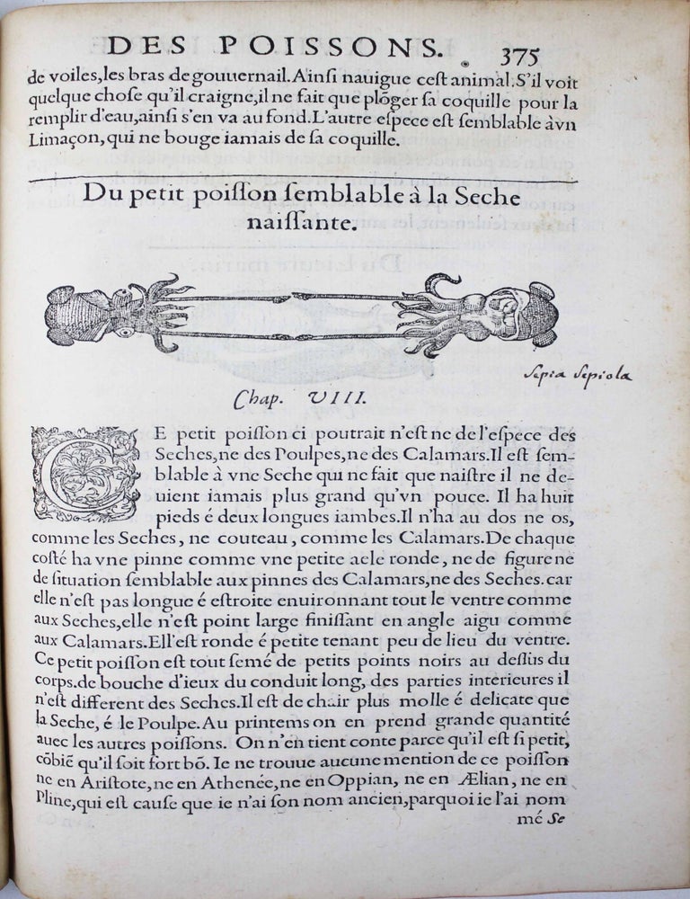 Item #17760 La premi&egrave;re [seconde] partie de l'histoire enti&egrave;re des poissons. Compos&eacute;e premi&egrave;rement en latin par Rondelet. Maintenant traduite en fran&ccedil;ais sans avoir rien omis estant n&eacute;cessaire &agrave; l'intelligence d'icelle. Avec leurs portraits au na&iuml;f. RONDELET LAMARCK, Guillaume.