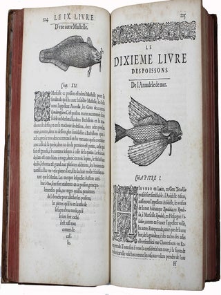 La premi&egrave;re [seconde] partie de l'histoire enti&egrave;re des poissons. Compos&eacute;e premi&egrave;rement en latin par Rondelet. Maintenant traduite en fran&ccedil;ais sans avoir rien omis estant n&eacute;cessaire &agrave; l'intelligence d'icelle. Avec leurs portraits au na&iuml;f.