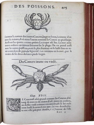 La premi&egrave;re [seconde] partie de l'histoire enti&egrave;re des poissons. Compos&eacute;e premi&egrave;rement en latin par Rondelet. Maintenant traduite en fran&ccedil;ais sans avoir rien omis estant n&eacute;cessaire &agrave; l'intelligence d'icelle. Avec leurs portraits au na&iuml;f.