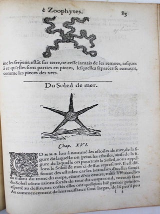 La premi&egrave;re [seconde] partie de l'histoire enti&egrave;re des poissons. Compos&eacute;e premi&egrave;rement en latin par Rondelet. Maintenant traduite en fran&ccedil;ais sans avoir rien omis estant n&eacute;cessaire &agrave; l'intelligence d'icelle. Avec leurs portraits au na&iuml;f.