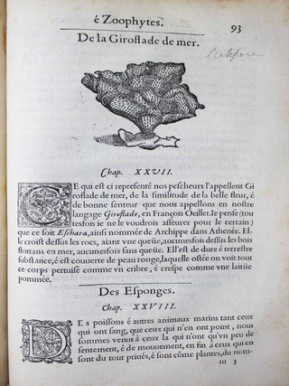La premi&egrave;re [seconde] partie de l'histoire enti&egrave;re des poissons. Compos&eacute;e premi&egrave;rement en latin par Rondelet. Maintenant traduite en fran&ccedil;ais sans avoir rien omis estant n&eacute;cessaire &agrave; l'intelligence d'icelle. Avec leurs portraits au na&iuml;f.