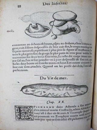 La premi&egrave;re [seconde] partie de l'histoire enti&egrave;re des poissons. Compos&eacute;e premi&egrave;rement en latin par Rondelet. Maintenant traduite en fran&ccedil;ais sans avoir rien omis estant n&eacute;cessaire &agrave; l'intelligence d'icelle. Avec leurs portraits au na&iuml;f.