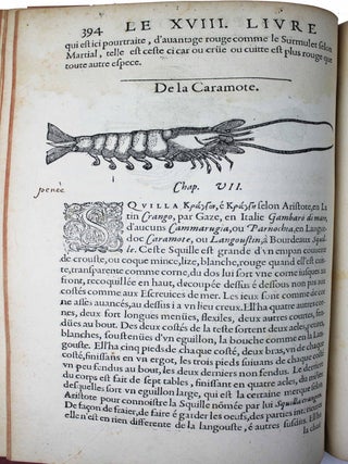 La premi&egrave;re [seconde] partie de l'histoire enti&egrave;re des poissons. Compos&eacute;e premi&egrave;rement en latin par Rondelet. Maintenant traduite en fran&ccedil;ais sans avoir rien omis estant n&eacute;cessaire &agrave; l'intelligence d'icelle. Avec leurs portraits au na&iuml;f.