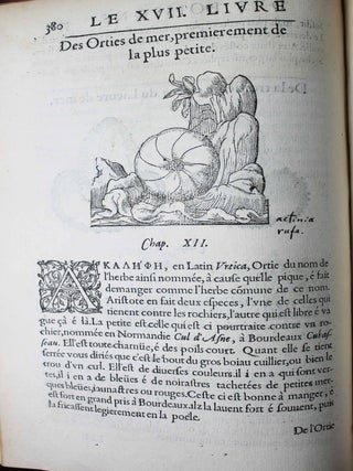 La premi&egrave;re [seconde] partie de l'histoire enti&egrave;re des poissons. Compos&eacute;e premi&egrave;rement en latin par Rondelet. Maintenant traduite en fran&ccedil;ais sans avoir rien omis estant n&eacute;cessaire &agrave; l'intelligence d'icelle. Avec leurs portraits au na&iuml;f.