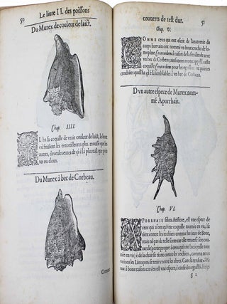 La premi&egrave;re [seconde] partie de l'histoire enti&egrave;re des poissons. Compos&eacute;e premi&egrave;rement en latin par Rondelet. Maintenant traduite en fran&ccedil;ais sans avoir rien omis estant n&eacute;cessaire &agrave; l'intelligence d'icelle. Avec leurs portraits au na&iuml;f.