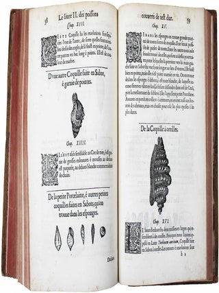 La premi&egrave;re [seconde] partie de l'histoire enti&egrave;re des poissons. Compos&eacute;e premi&egrave;rement en latin par Rondelet. Maintenant traduite en fran&ccedil;ais sans avoir rien omis estant n&eacute;cessaire &agrave; l'intelligence d'icelle. Avec leurs portraits au na&iuml;f.