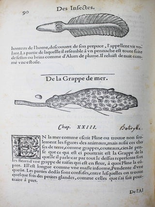 La premi&egrave;re [seconde] partie de l'histoire enti&egrave;re des poissons. Compos&eacute;e premi&egrave;rement en latin par Rondelet. Maintenant traduite en fran&ccedil;ais sans avoir rien omis estant n&eacute;cessaire &agrave; l'intelligence d'icelle. Avec leurs portraits au na&iuml;f.
