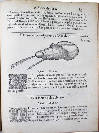 La premi&egrave;re [seconde] partie de l'histoire enti&egrave;re des poissons. Compos&eacute;e premi&egrave;rement en latin par Rondelet. Maintenant traduite en fran&ccedil;ais sans avoir rien omis estant n&eacute;cessaire &agrave; l'intelligence d'icelle. Avec leurs portraits au na&iuml;f.