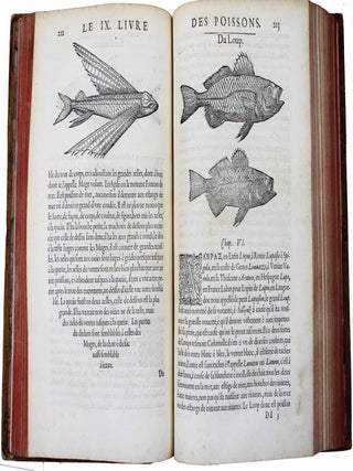 La premi&egrave;re [seconde] partie de l'histoire enti&egrave;re des poissons. Compos&eacute;e premi&egrave;rement en latin par Rondelet. Maintenant traduite en fran&ccedil;ais sans avoir rien omis estant n&eacute;cessaire &agrave; l'intelligence d'icelle. Avec leurs portraits au na&iuml;f.