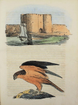 Tableau pittoresque, scientifique et moral de N&icirc;mes et de ses environs &agrave; vingt lieues &agrave; la ronde.