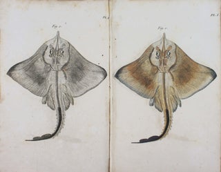 Item #17945 Ichthyologie de Nice ou histoire naturelle des poissons du département des Alpes...